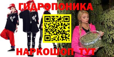 молекула духа Гатчина