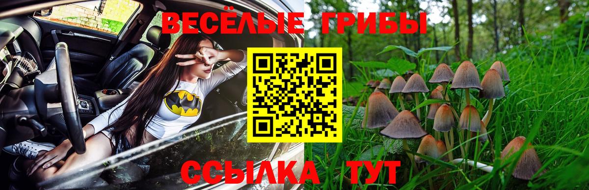 Галлюциногенные грибы Cubensis  Вход с VPN  Мурино 